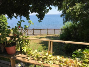 Casa Orilla Lago Villarrica